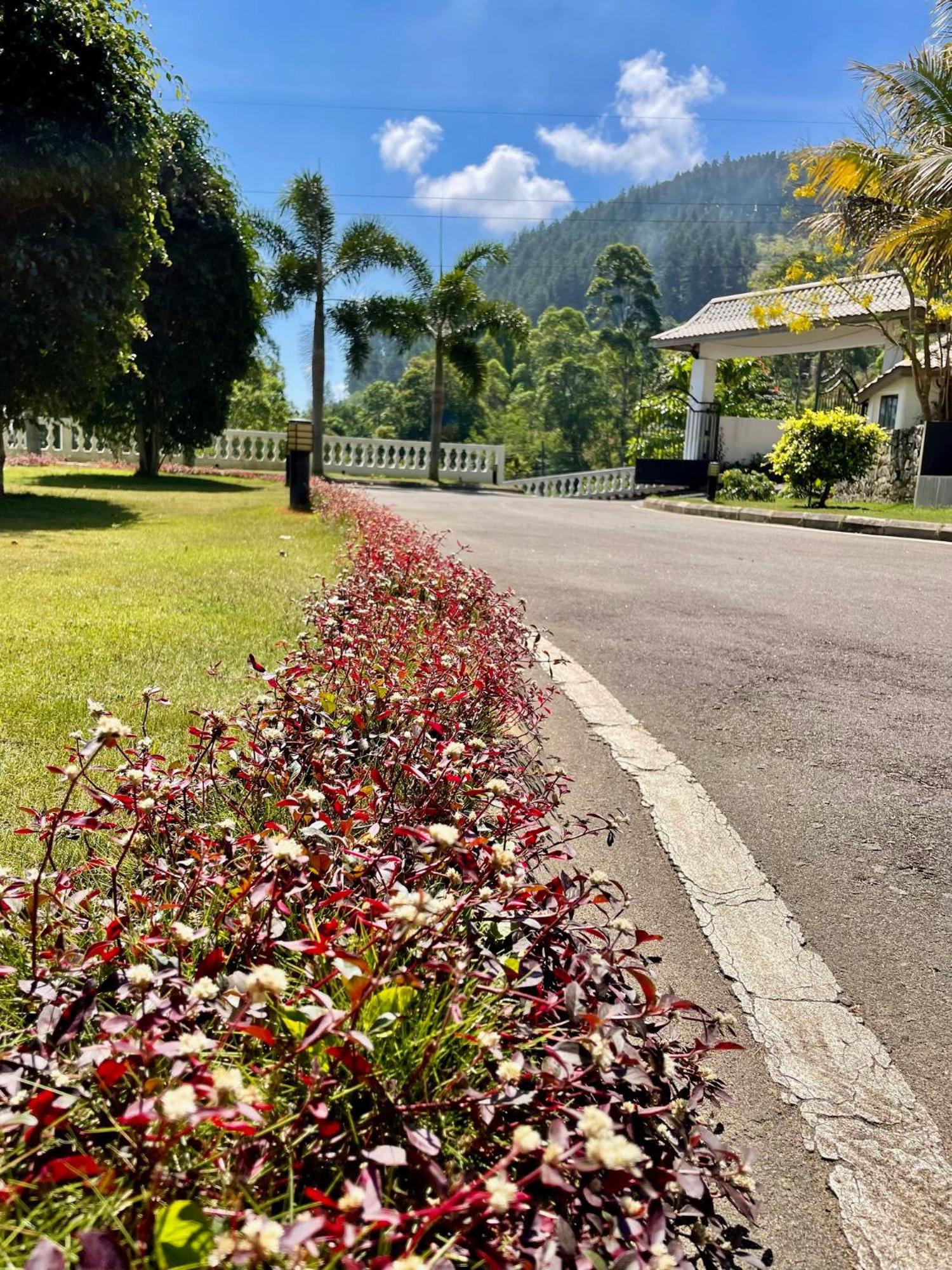 Bellwood Hills Resort & Spa Kandy Kültér fotó