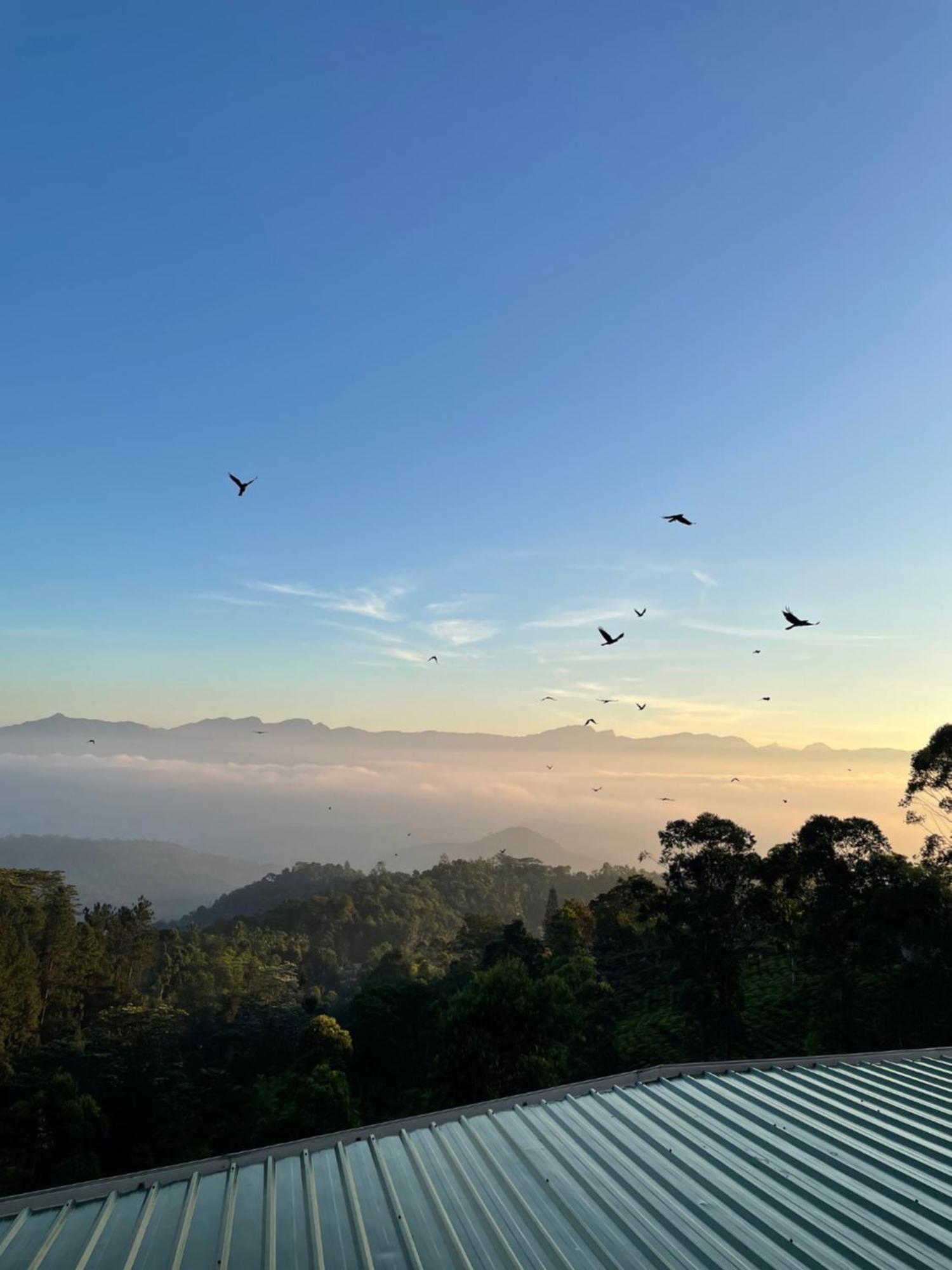 Bellwood Hills Resort & Spa Kandy Kültér fotó