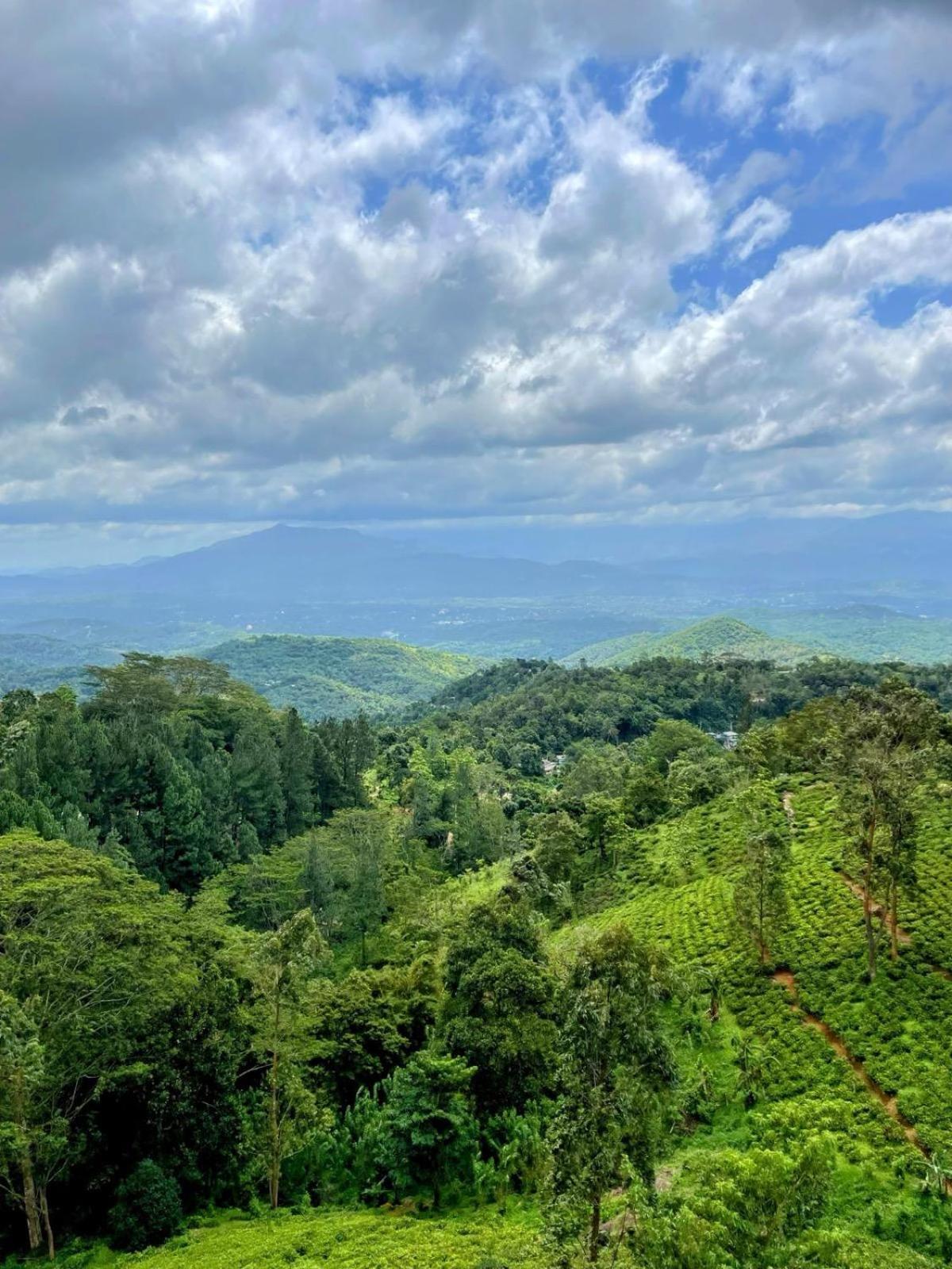 Bellwood Hills Resort & Spa Kandy Kültér fotó